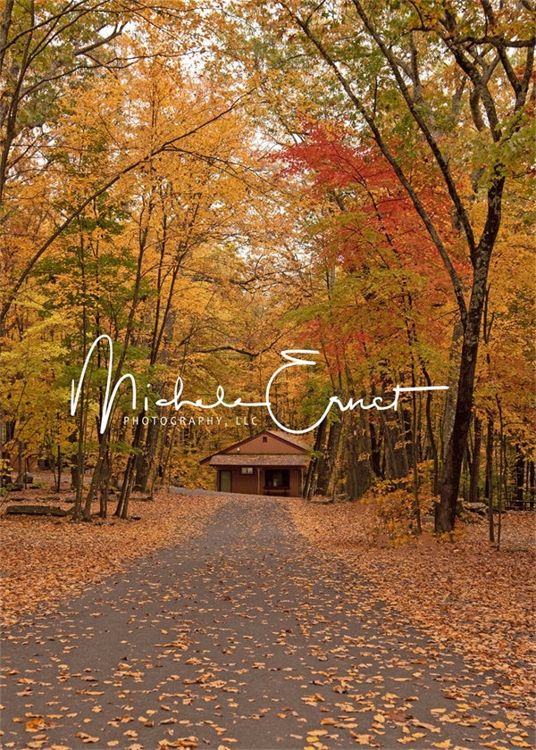 Kate Cabin in the Woods Backdrop Autumn Designed By Michele Ernst Photography - Kate Backdrop AU