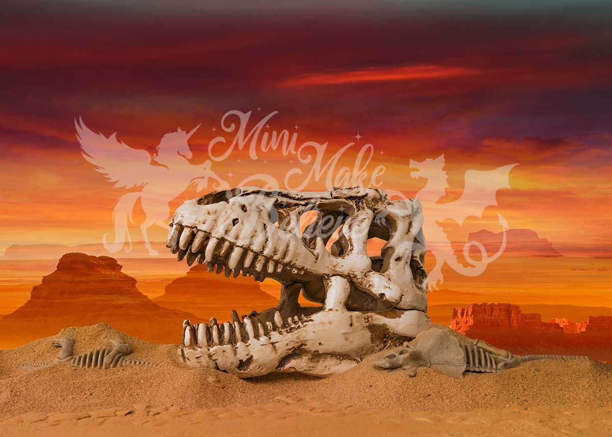 Kate Dino Skull Skeleton Desert Paleontologist Scientist Boy Backdrop Designed by Mini MakeBelieve - Kate Backdrop AU