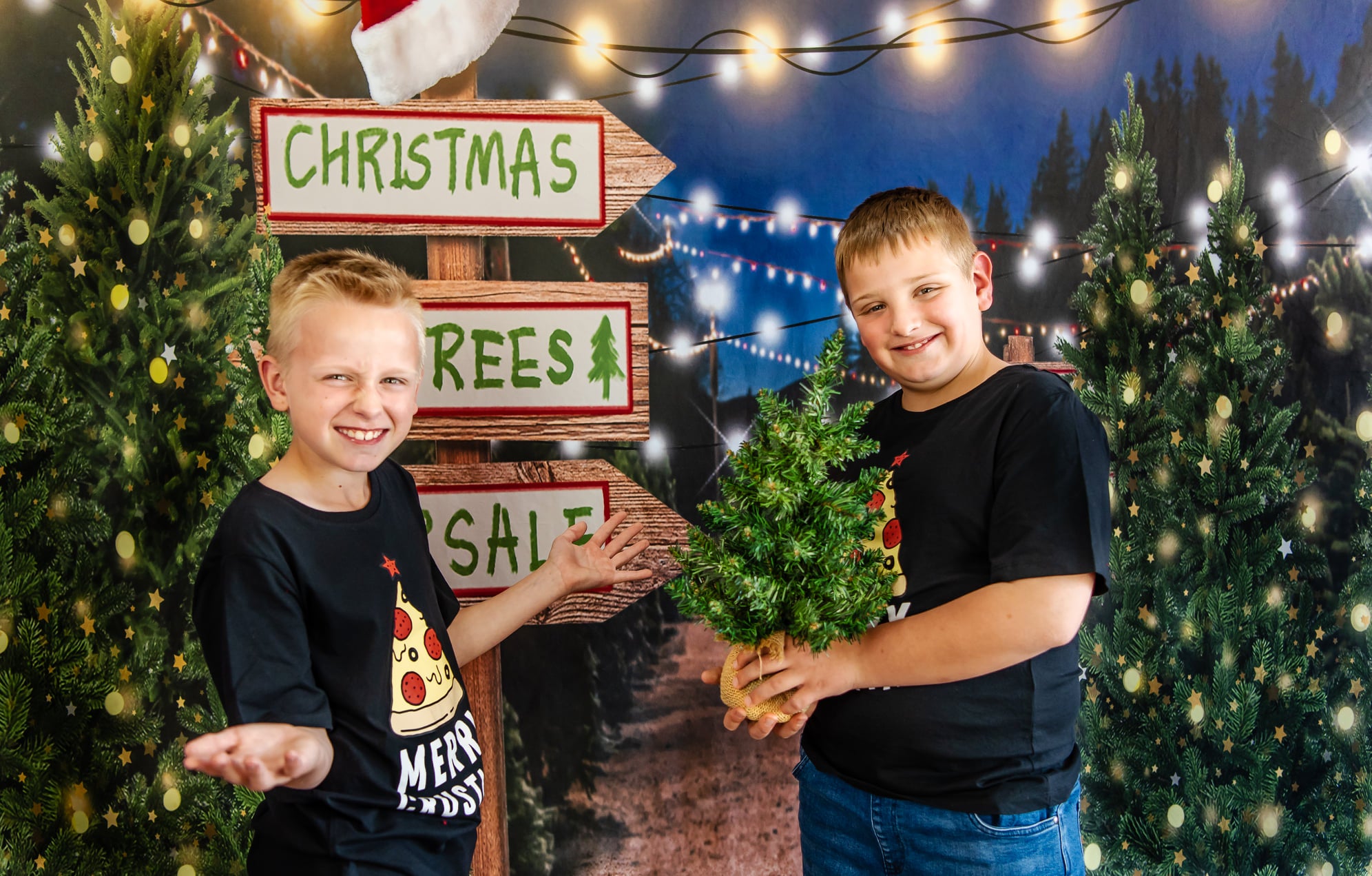 Kate Christmas Trees Filed Night Backdrop Designed by Emetselch - Kate Backdrop AU