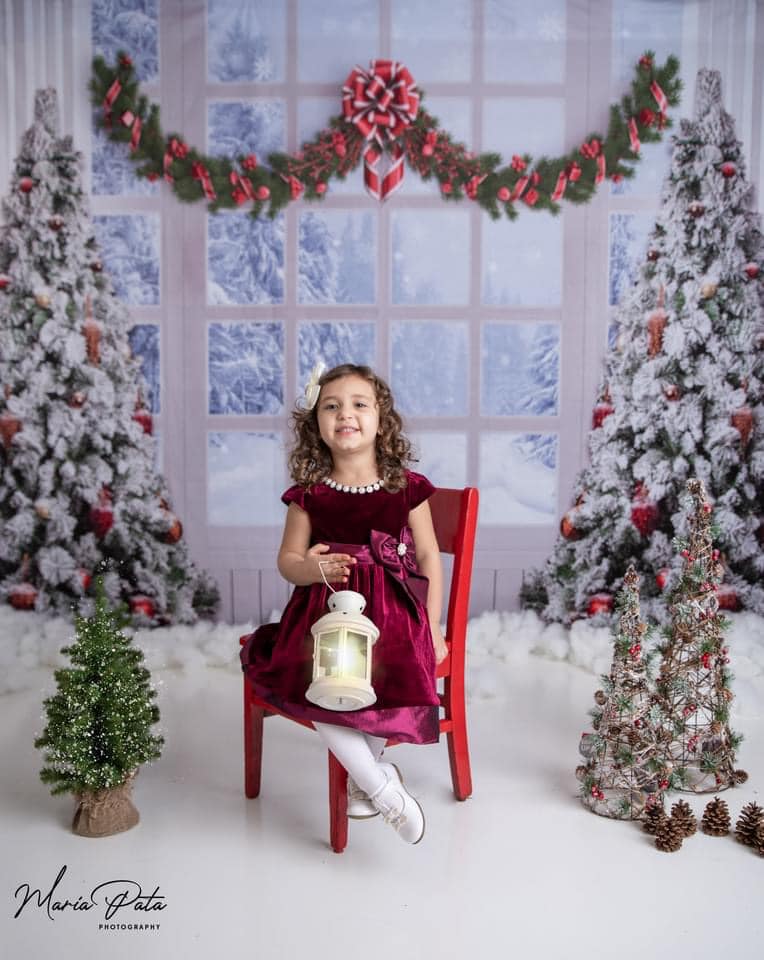 Kate Christmas Tree Winter White Window Backdrop Designed by Chain Photography - Kate Backdrop AU