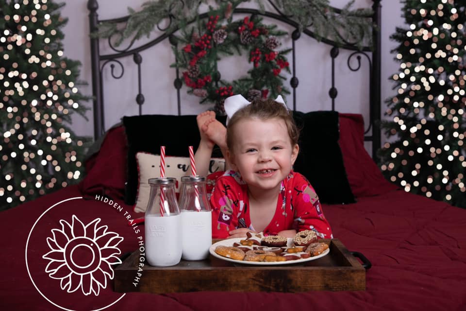 Kate Christmas Bed Backdrop Headboard Designed by Emetselch - Kate Backdrop AU