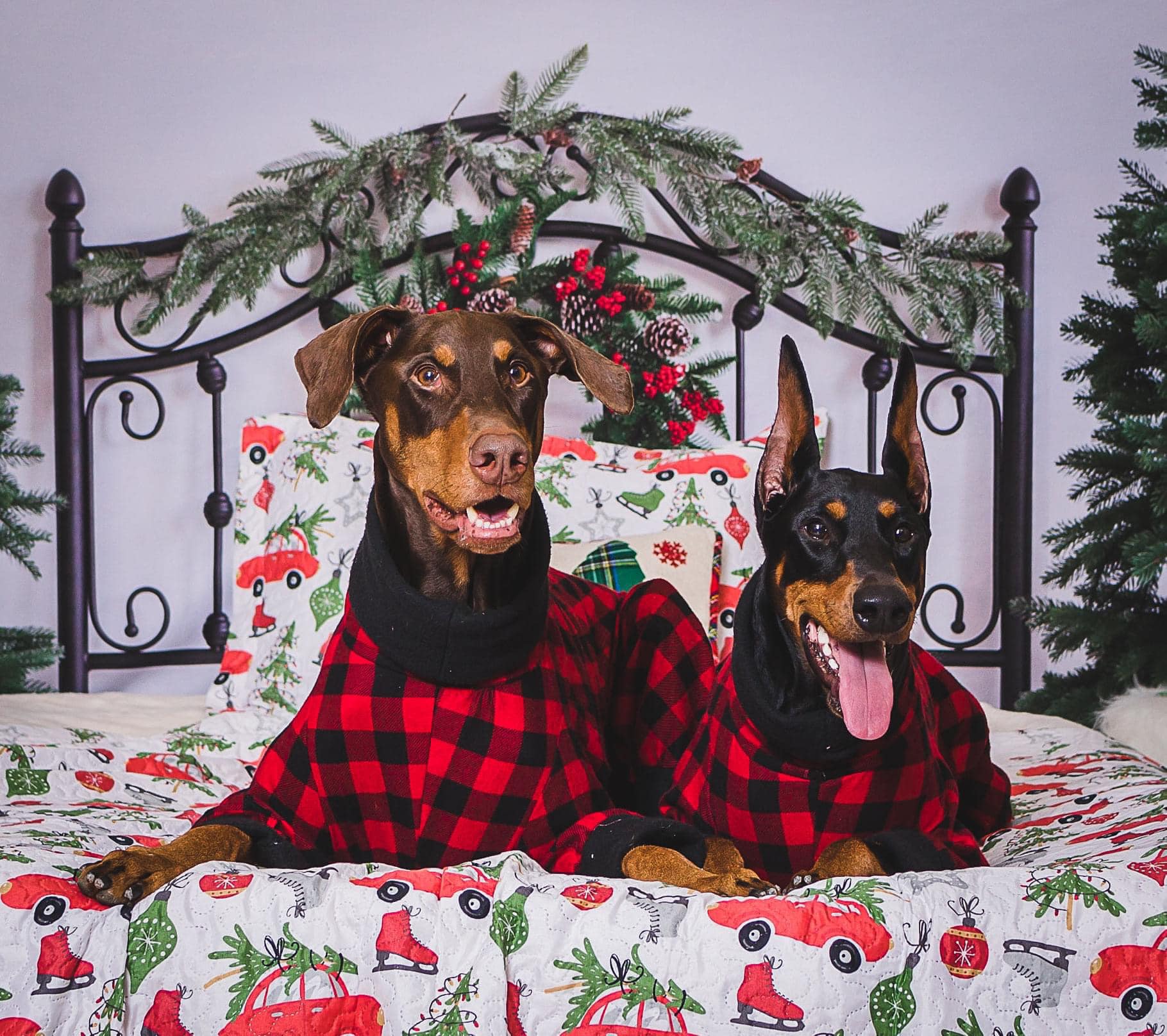 Kate Christmas Bed Backdrop Headboard Designed by Emetselch - Kate Backdrop AU