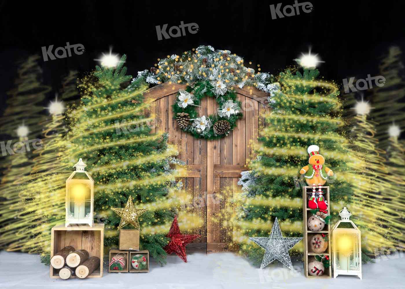Kate Gorgeous Christmas Barn Door Shiny Backdrop Designed by Emetselch - Kate Backdrop AU