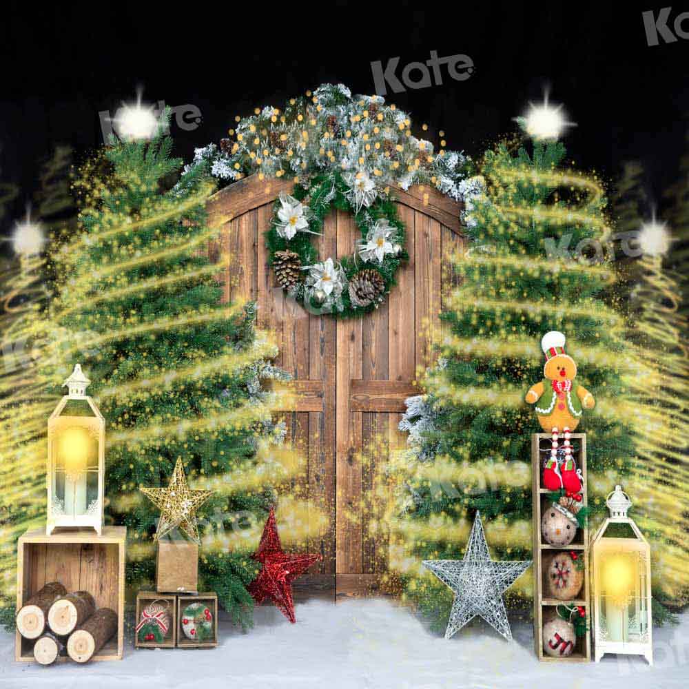 Kate Gorgeous Christmas Barn Door Shiny Backdrop Designed by Emetselch - Kate Backdrop AU