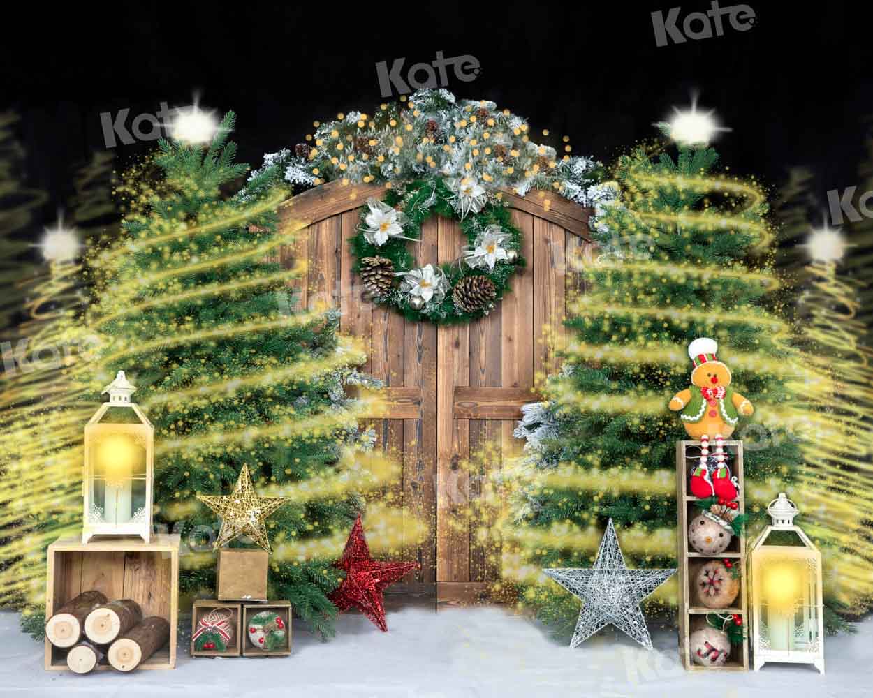 Kate Gorgeous Christmas Barn Door Shiny Backdrop Designed by Emetselch - Kate Backdrop AU