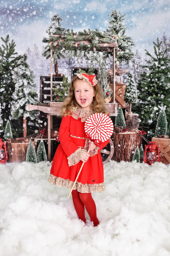 Kate Christmas Snowy Tree Vending Truck Winter Backdrop Designed by Emetselch - Kate Backdrop AU