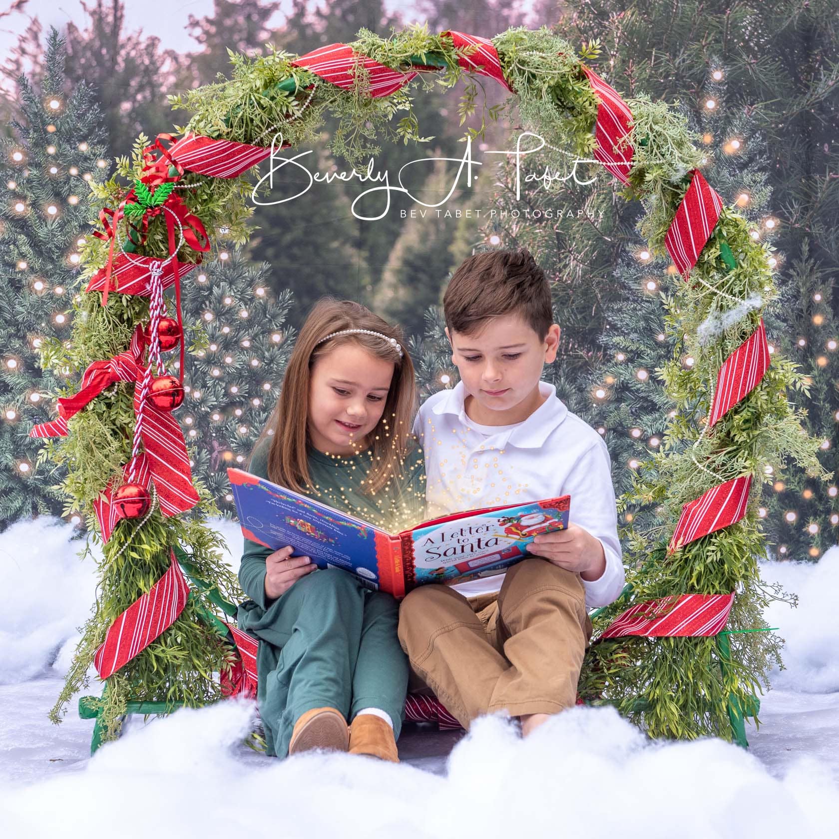 Kate Christmas Trees Backdrop Forest for Photography - Kate Backdrop AU