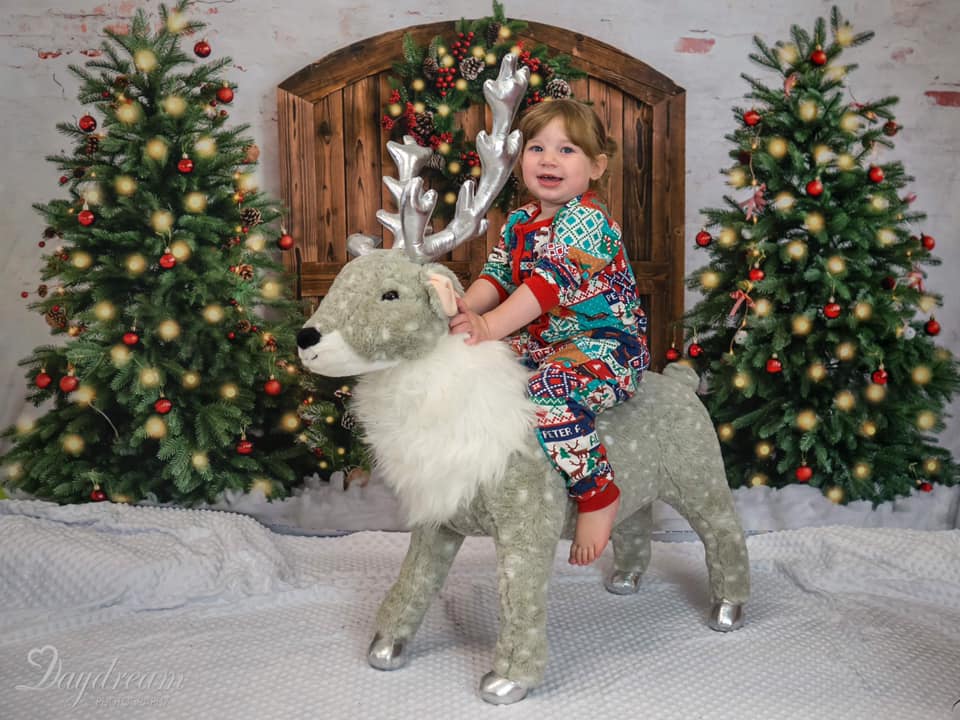 Kate Christmas Tree Wreath Barn Door Backdrop Designed by Emetselch - Kate Backdrop AU