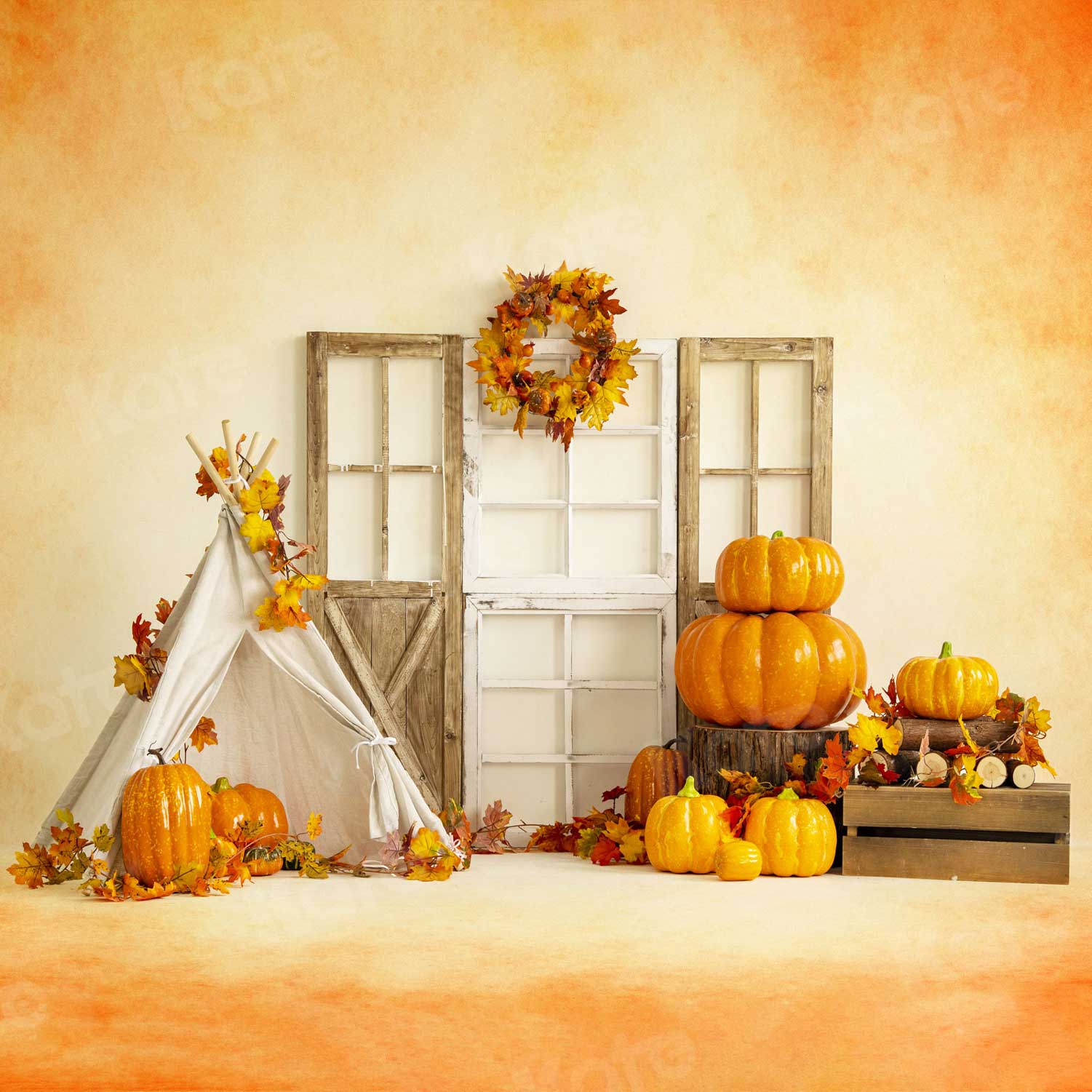 Kate Thanksgiving Sweet Harvest Pumpkins Backdrop for Photography - Kate Backdrop AU