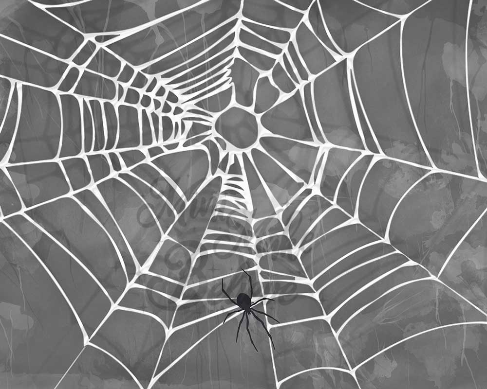 Kate Halloween Spooky Spider Web Backdrop Designed by Mini MakeBelieve - Kate Backdrop AU