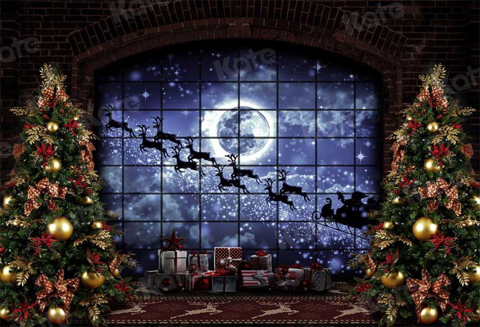 Kate Christmas Windows Sleigh Backdrop Elk for Photography - Kate Backdrop AU