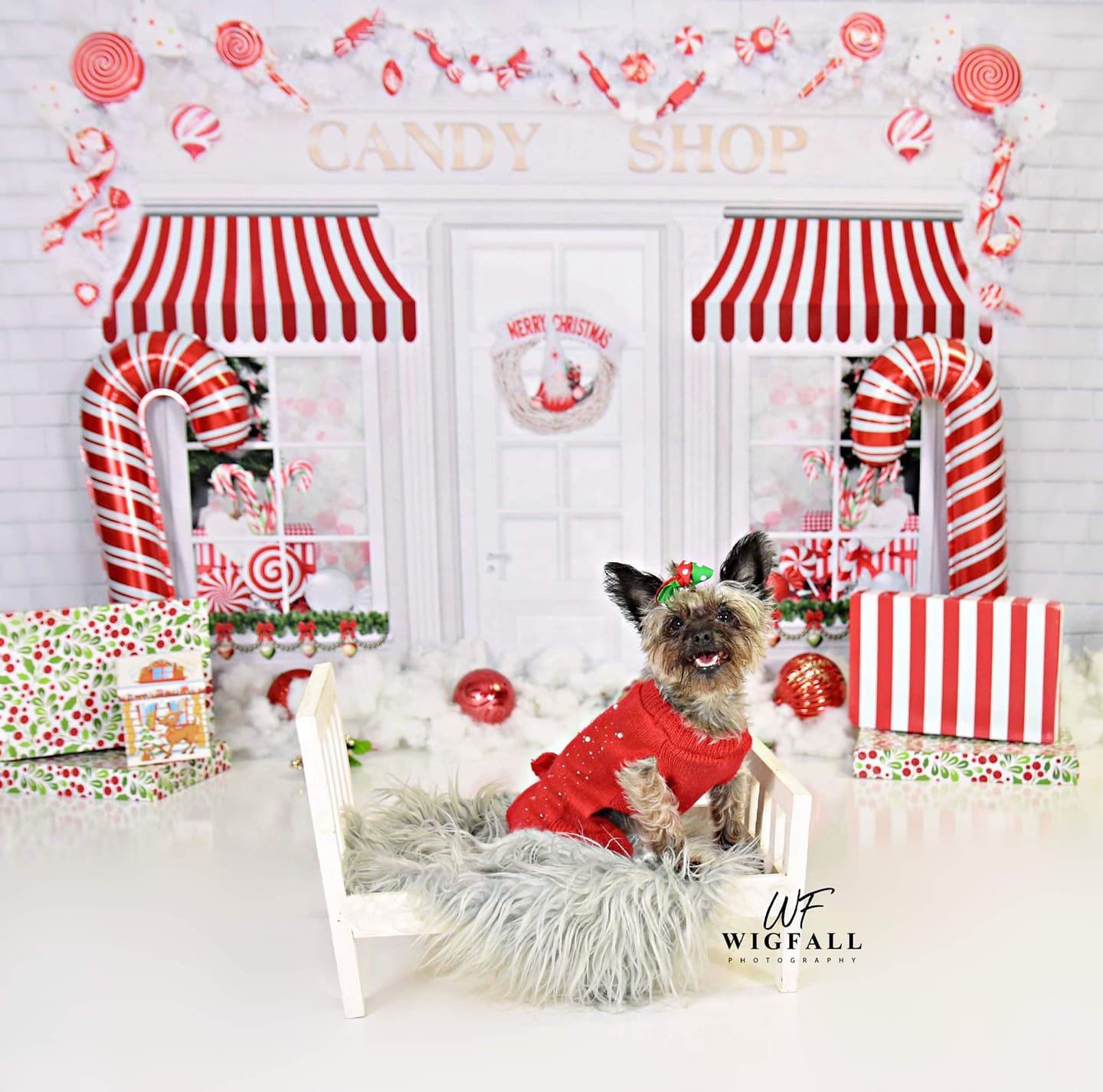 Kate Christmas Candy Shop Backdrop for Photography - Kate Backdrop AU