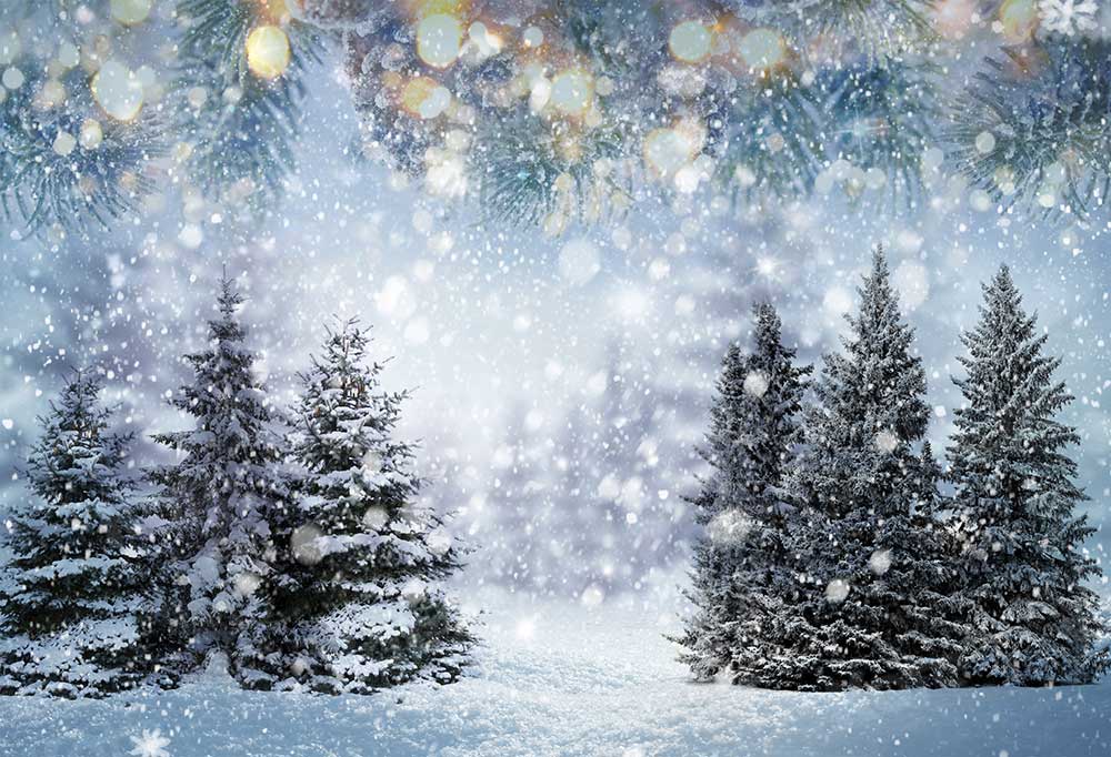 Kate Winter Forest Backdrop Snowflake for Photography - Kate Backdrop AU