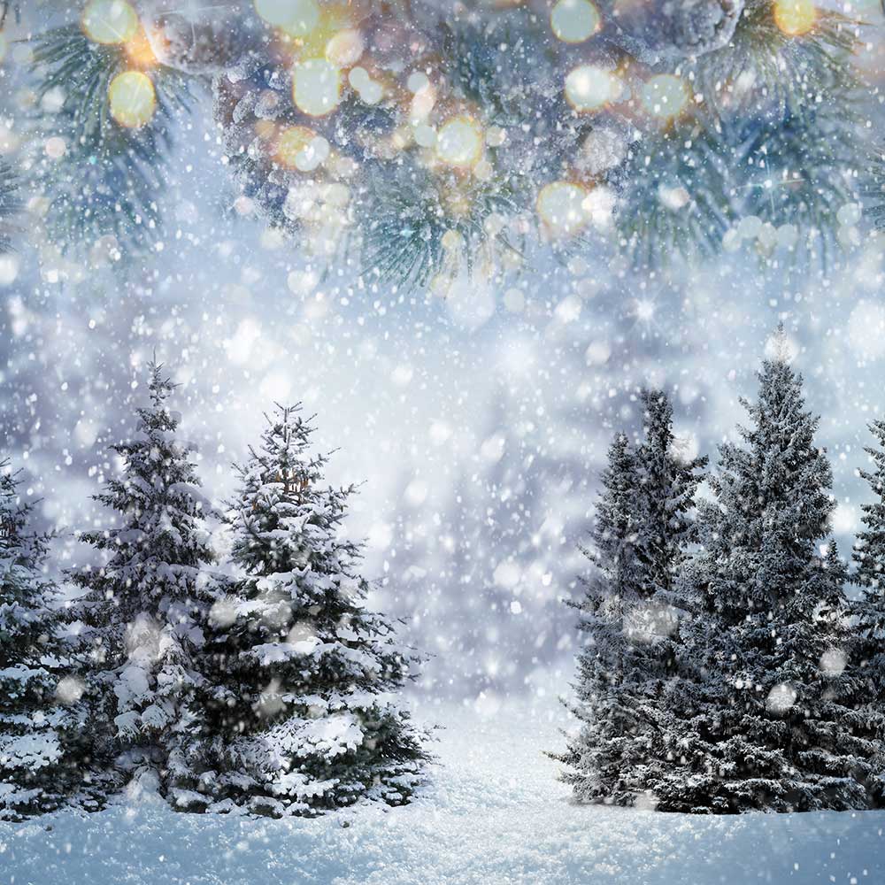 Kate Winter Forest Backdrop Snowflake for Photography - Kate Backdrop AU