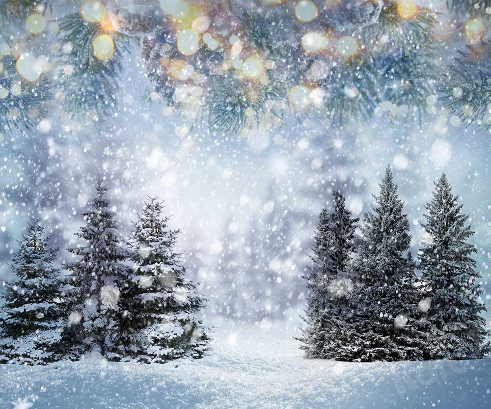 Kate Winter Forest Backdrop Snowflake for Photography - Kate Backdrop AU