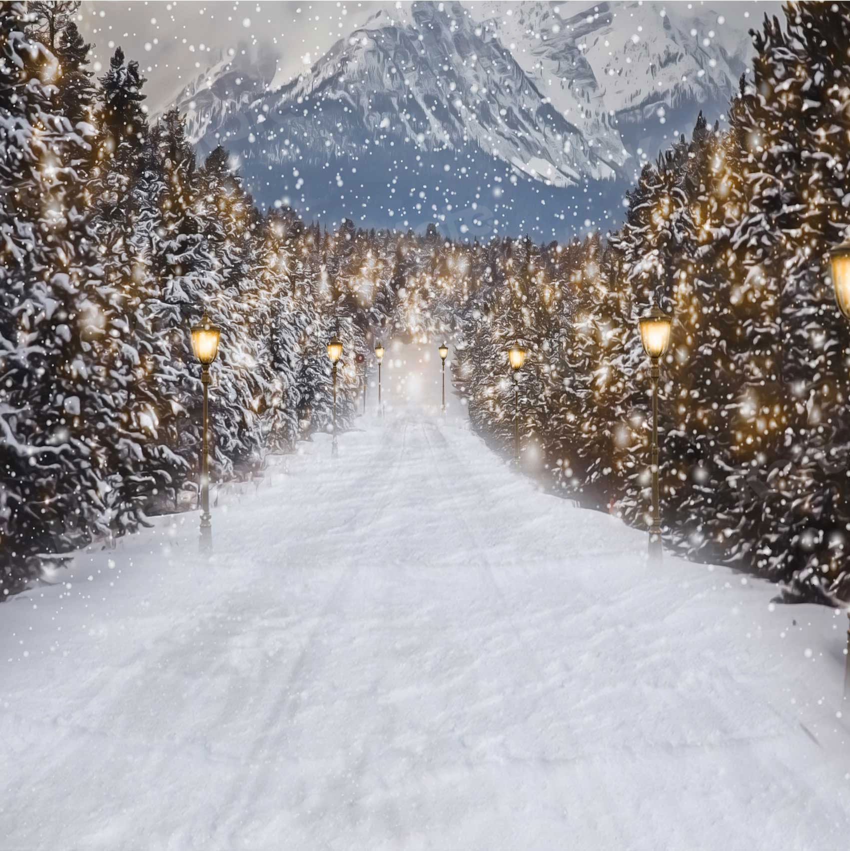 Kate Winter Snow Scene Backdrop Road for Photography - Kate Backdrop AU