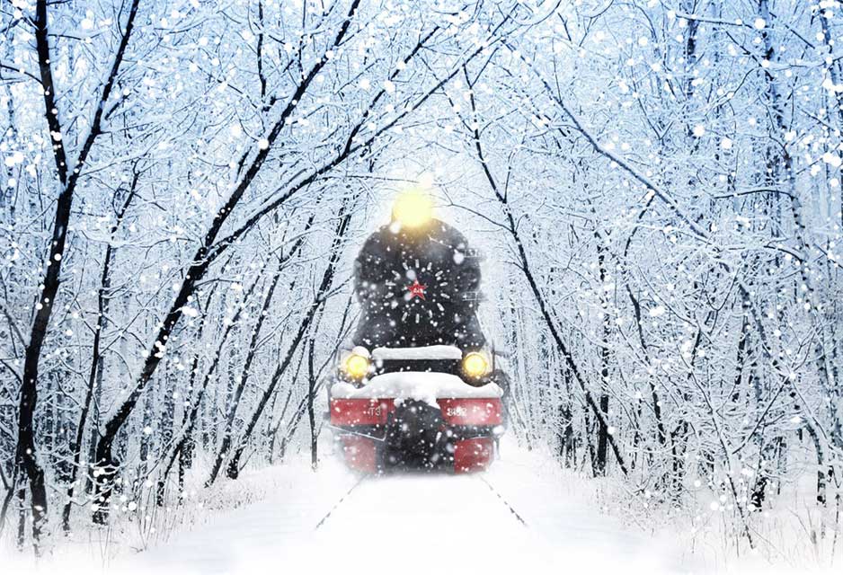 Kate Winter Backdrop Train Trees Snow for Photography - Kate Backdrop AU