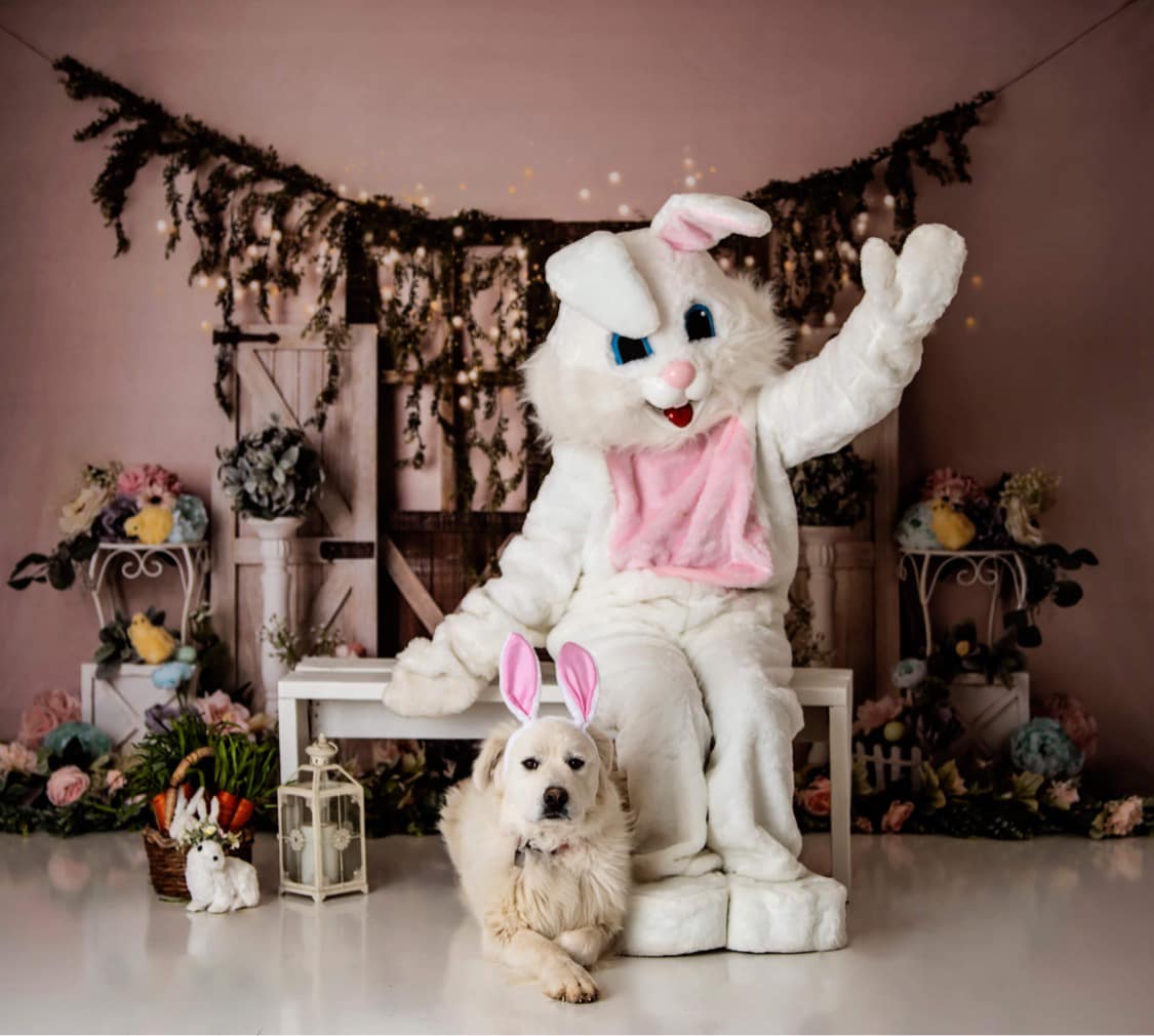 Kate Spring Floral Chicks Backdrop Designed by Mandy Ringe Photography - Kate Backdrop AU