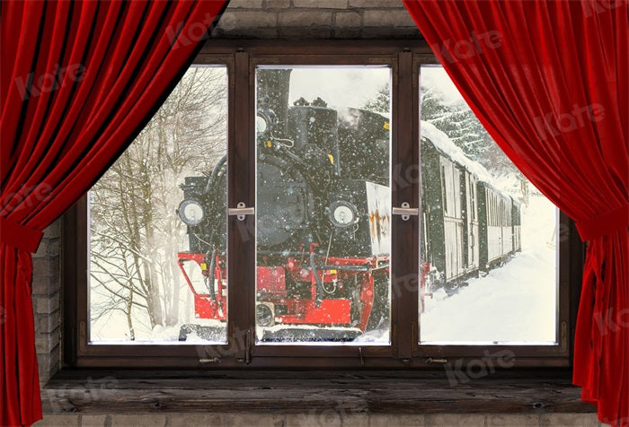 Kate Winter Snow Backdrop Train Outside Window for Photography - Kate Backdrop AU
