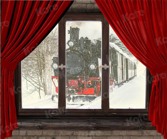 Kate Winter Snow Backdrop Train Outside Window for Photography - Kate Backdrop AU