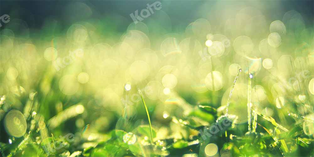 Kate Spring Morning Backdrop Dew Bokeh Designed by Chain Photography - Kate Backdrop AU