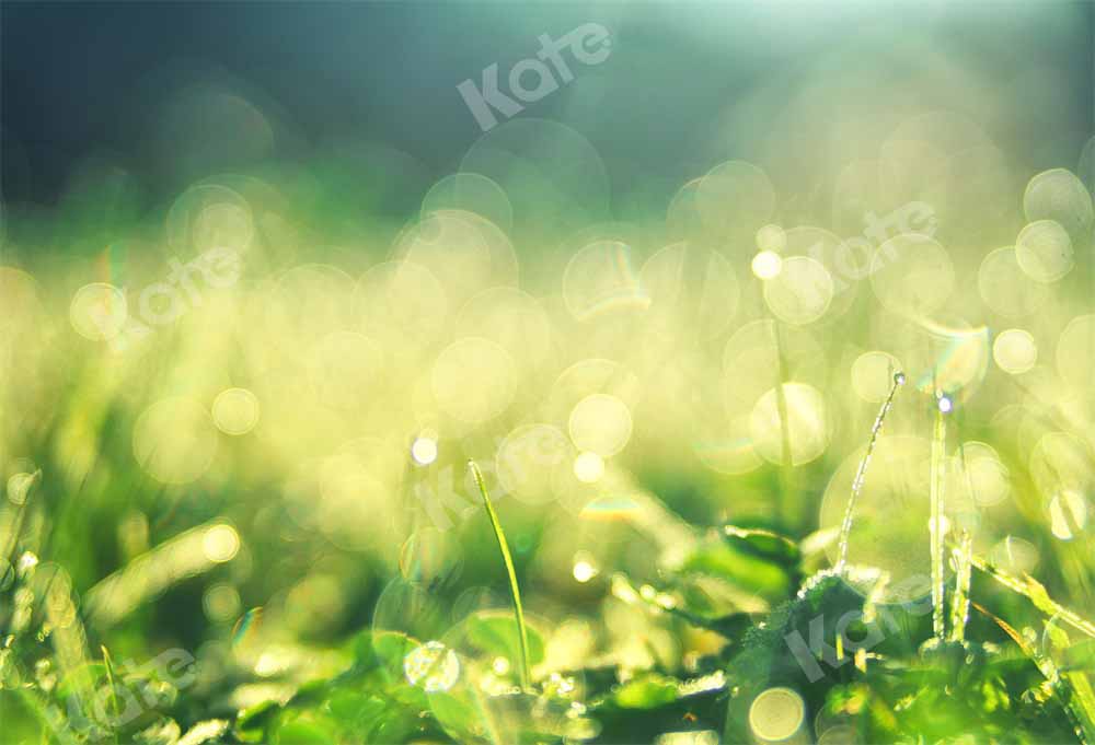 Kate Spring Morning Backdrop Dew Bokeh Designed by Chain Photography - Kate Backdrop AU