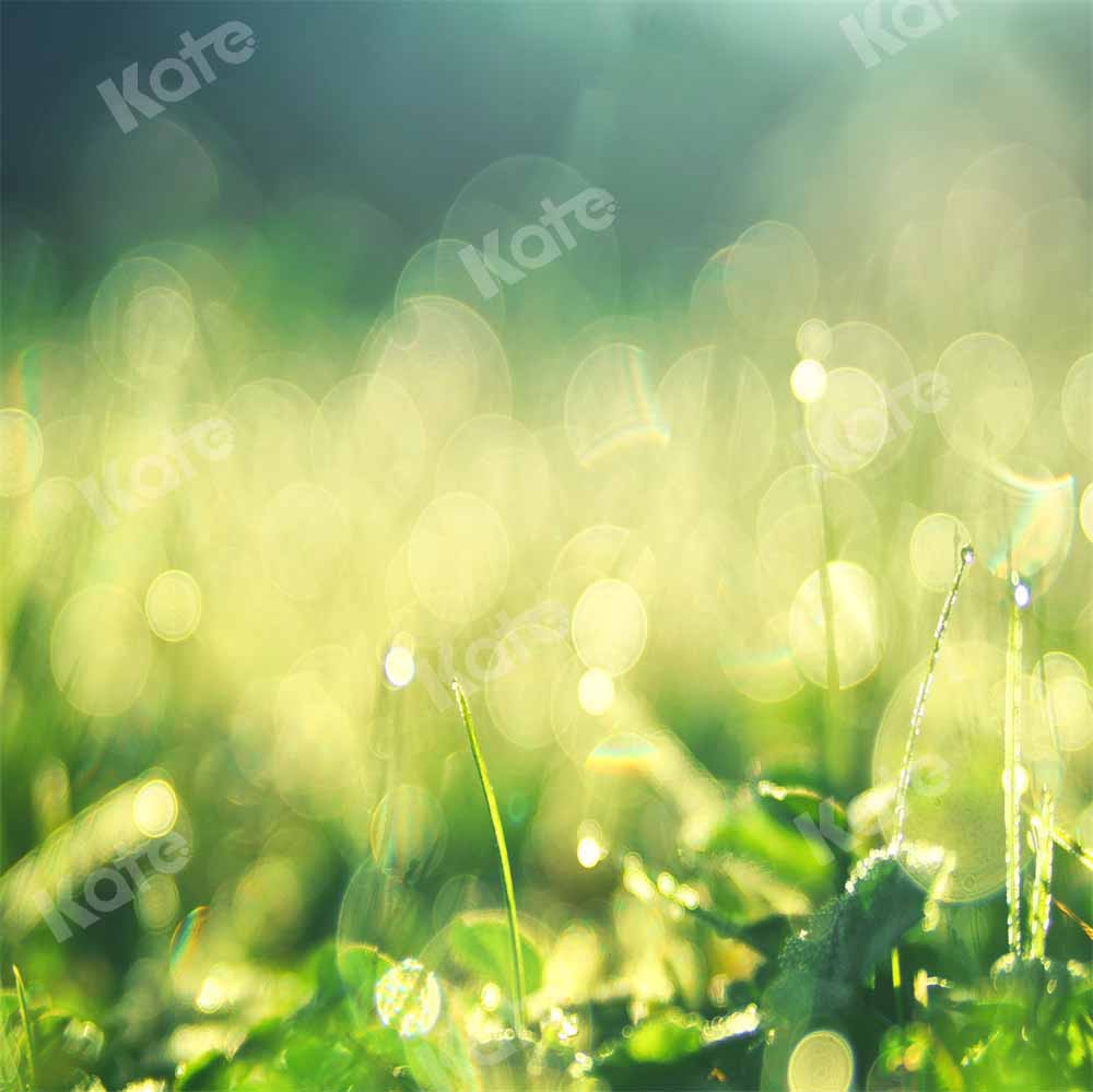 Kate Spring Morning Backdrop Dew Bokeh Designed by Chain Photography - Kate Backdrop AU