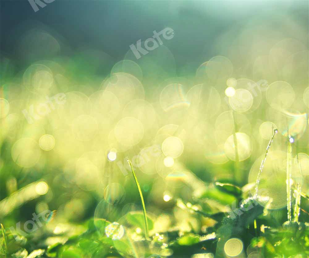 Kate Spring Morning Backdrop Dew Bokeh Designed by Chain Photography - Kate Backdrop AU
