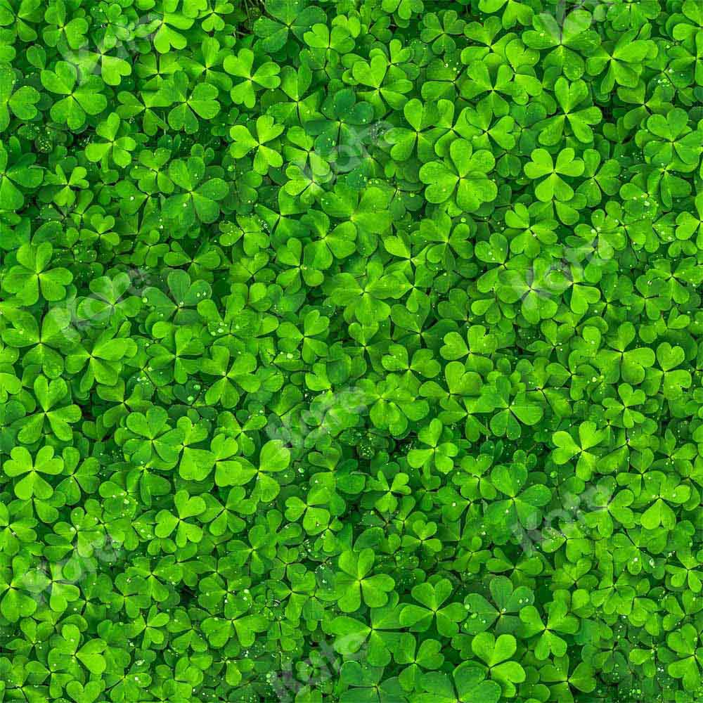 Kate Spring/St. Patrick's Day Backdrop Clover Lawn Floor Designed by Kate Image - Kate Backdrop AU
