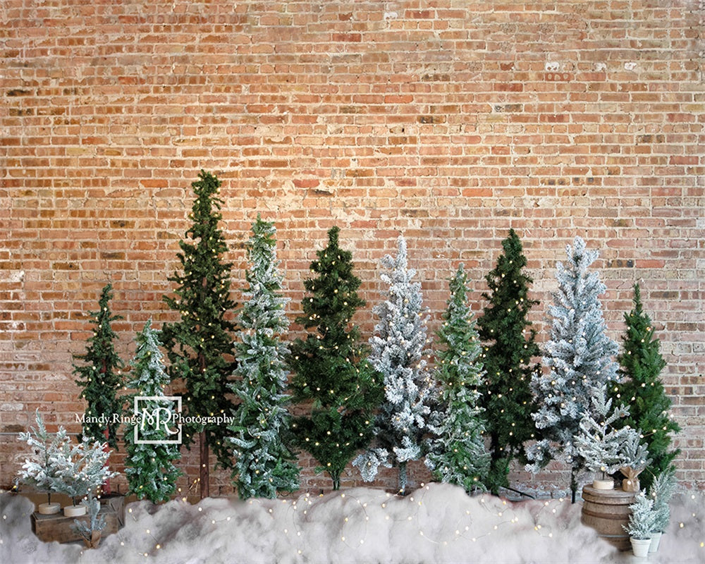 Kate Christmas Trees Backdrop Brick Designed by Mandy Ringe Photography - Kate Backdrop AU