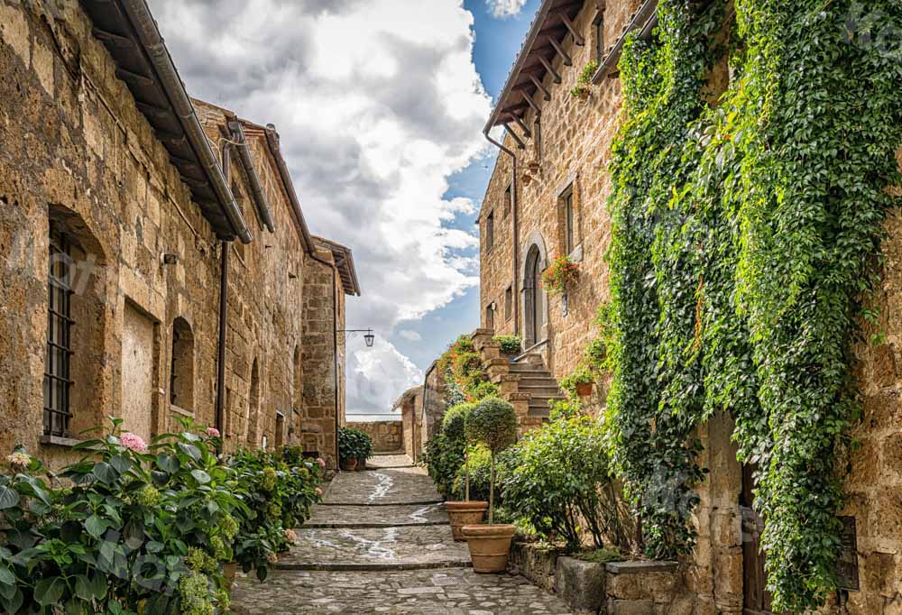 Kate Nature Backdrop Retro House Street Designed by Chain Photography - Kate Backdrop AU