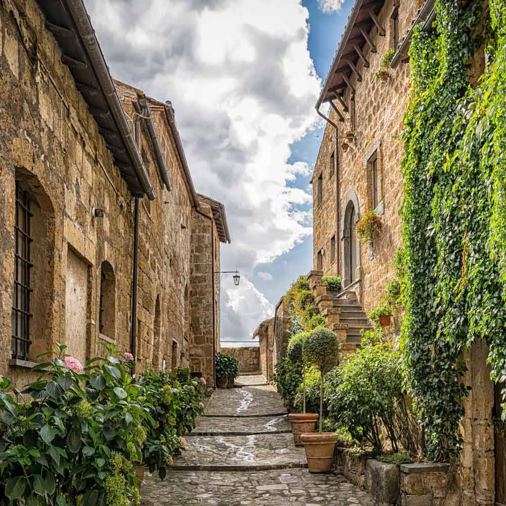 Kate Nature Backdrop Retro House Street Designed by Chain Photography - Kate Backdrop AU