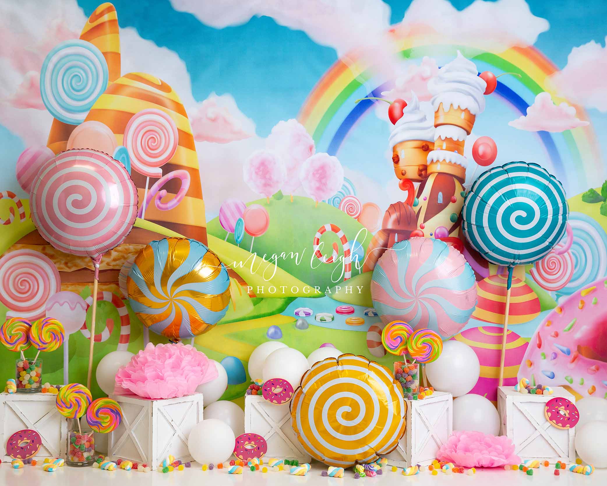 Kate Sweets Treats Backdrop Cake Smash Designed by Megan Leigh Photography - Kate Backdrop AU