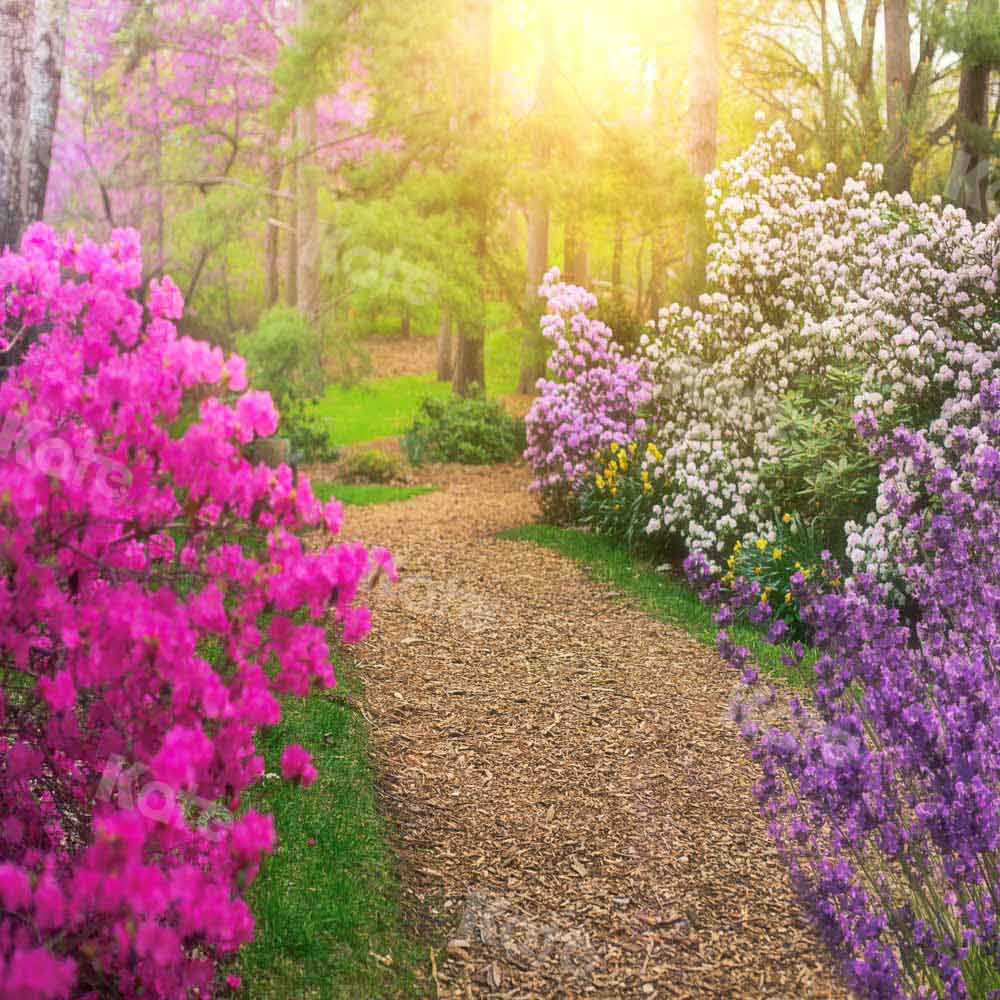 Kate Spring Backdrop Outdoor Garden Flower Designed by Chain Photography - Kate Backdrop AU