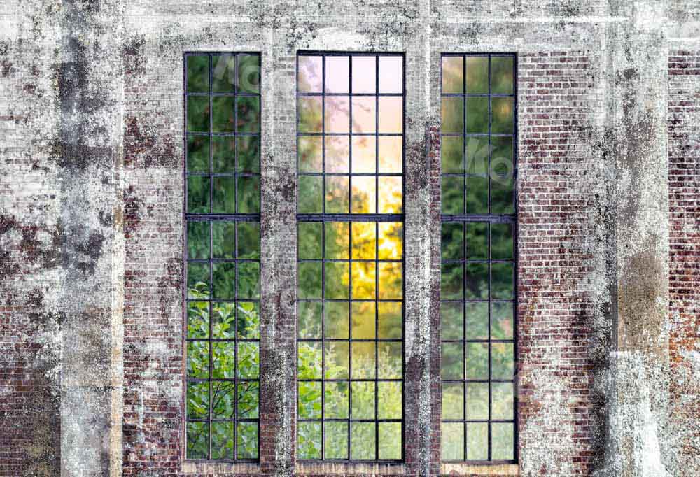 Kate Spring Backdrop Window Retro Wall Designed by Chain Photography - Kate Backdrop AU