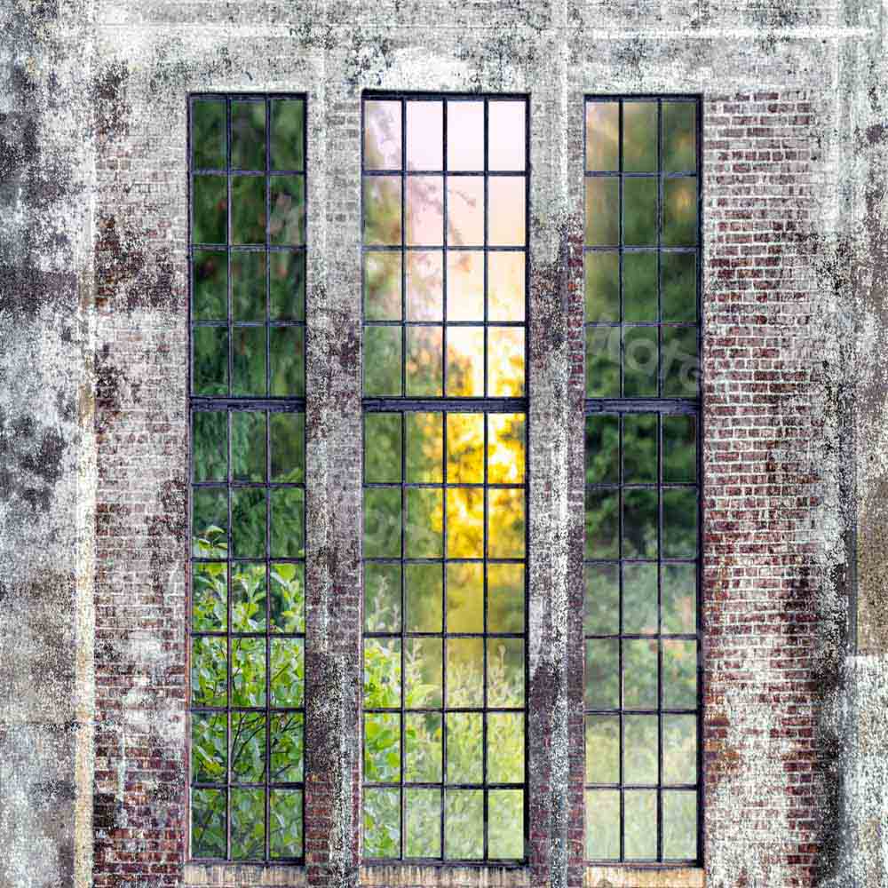 Kate Spring Backdrop Window Retro Wall Designed by Chain Photography - Kate Backdrop AU