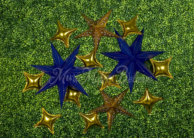 Kate Navy Gold Stars Backdrop Boy Cake Smash Designed by Mini MakeBelieve - Kate Backdrop AU