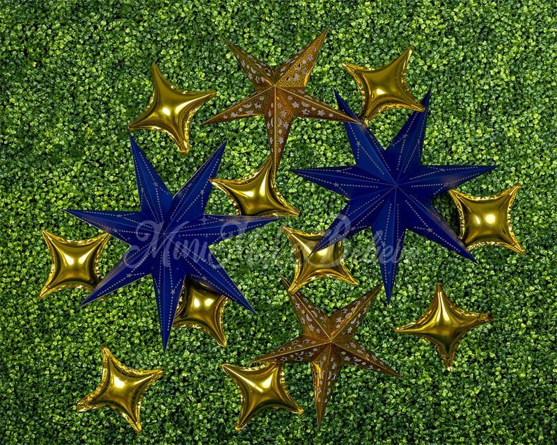 Kate Navy Gold Stars Backdrop Boy Cake Smash Designed by Mini MakeBelieve - Kate Backdrop AU