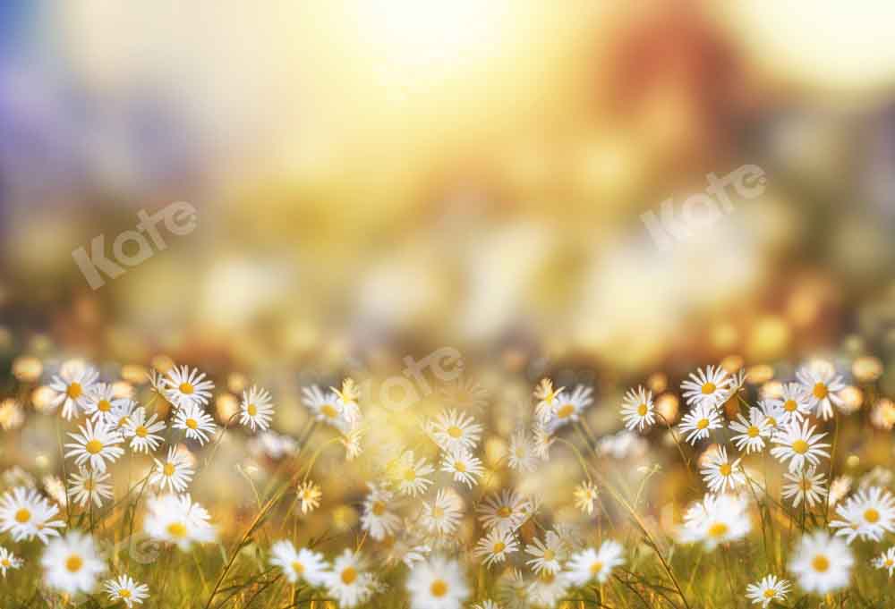 Kate Spring Summer Bokeh Backdrop Flowers Daisy Designed by Chain Photography - Kate Backdrop AU