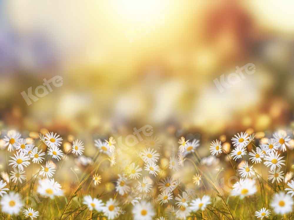 Kate Spring Summer Bokeh Backdrop Flowers Daisy Designed by Chain Photography - Kate Backdrop AU