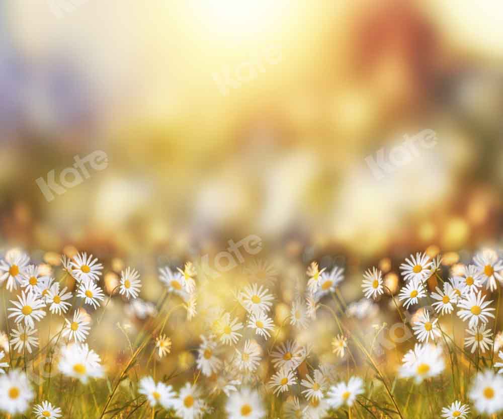 Kate Spring Summer Bokeh Backdrop Flowers Daisy Designed by Chain Photography - Kate Backdrop AU