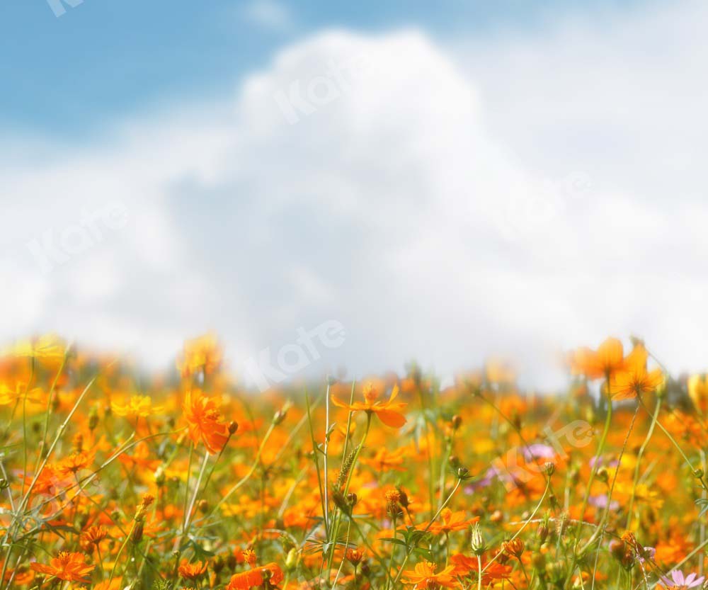 Kate Summer Bokeh Backdrop Flower for Photography - Kate Backdrop AU