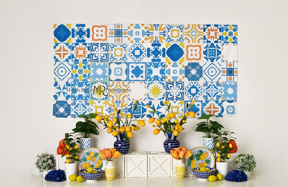 Kate Mediterranean Summer Backdrop Designed by Mandy Ringe Photography - Kate Backdrop AU