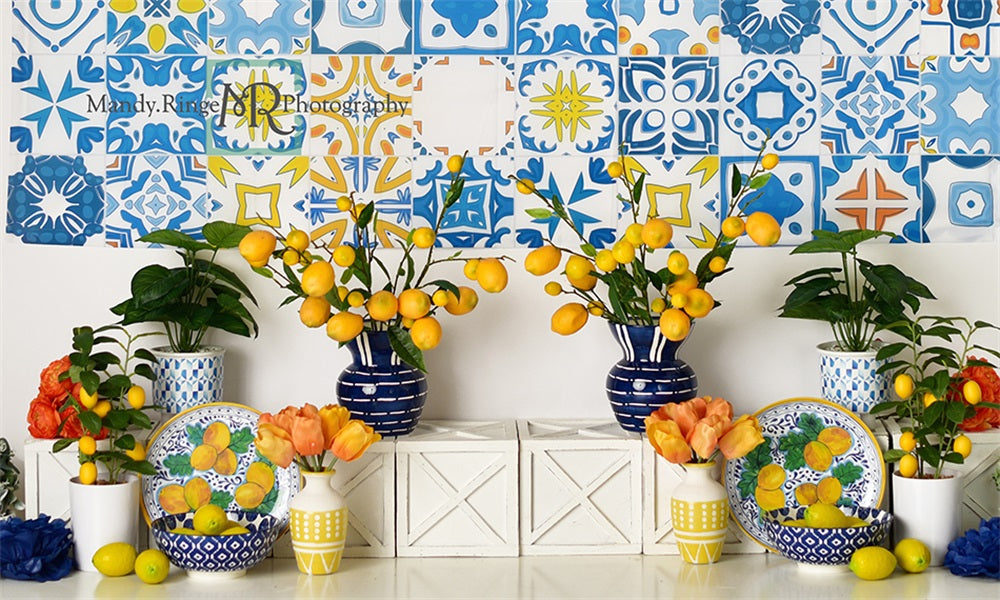 Kate Mediterranean Summer Backdrop Designed by Mandy Ringe Photography - Kate Backdrop AU