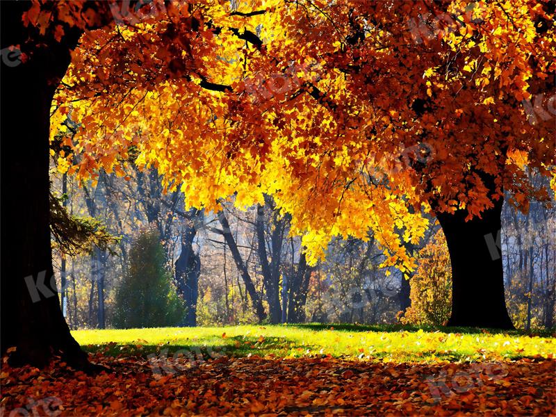 Kate Autumn Backdrop Nature Scenery for Photography - Kate Backdrop AU