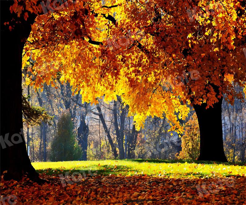 Kate Autumn Backdrop Nature Scenery for Photography - Kate Backdrop AU