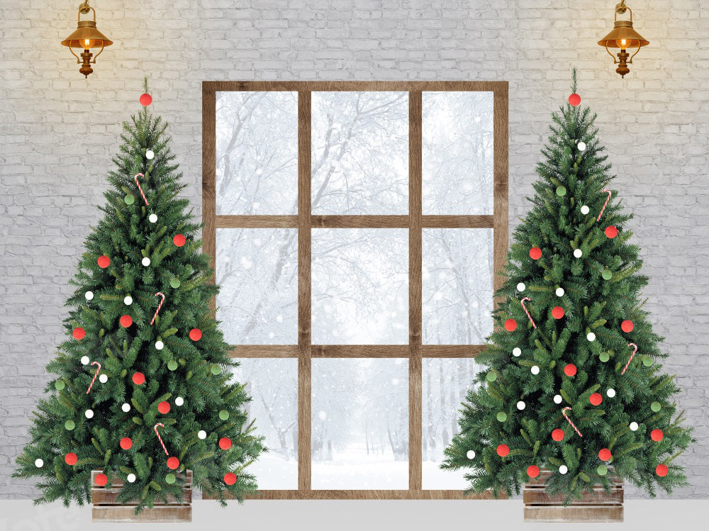 Kate Christmas Tree Backdrop Winter Snow Outside Window for Photography - Kate Backdrop AU
