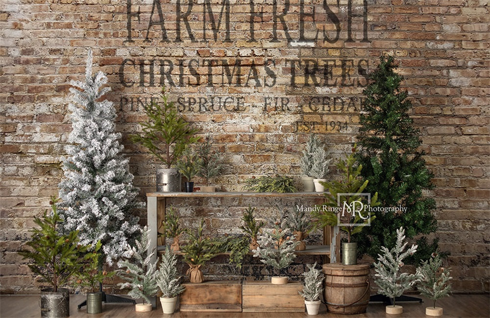 Kate Farm Fresh Backdrop Tree Stand Christmas Designed by Mandy Ringe Photography - Kate Backdrop AU