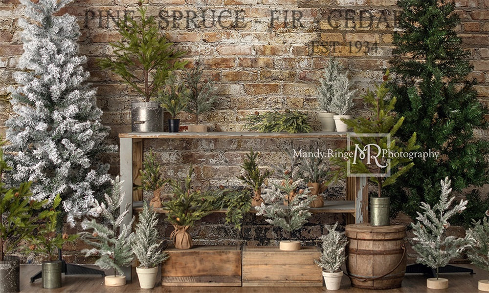 Kate Farm Fresh Backdrop Tree Stand Christmas Designed by Mandy Ringe Photography - Kate Backdrop AU