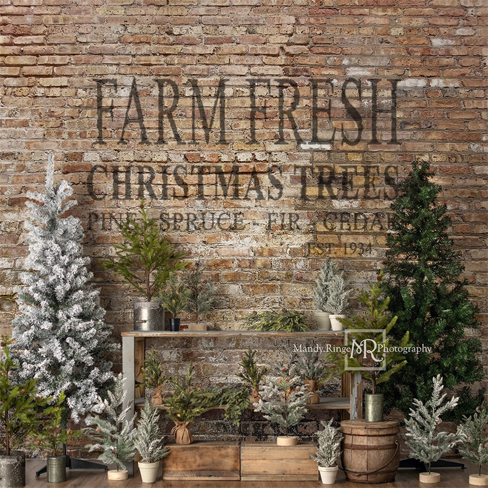 Kate Farm Fresh Backdrop Tree Stand Christmas Designed by Mandy Ringe Photography - Kate Backdrop AU